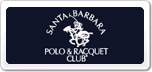 ʥ_Polo