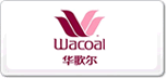 A蠖Wacoal