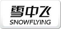 ѩwSnowFlying