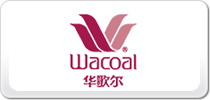 A蠖Wacoal