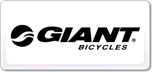 ݰGIANT