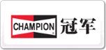 CHAMPION܊