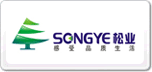 ɘI(y)SONGYE